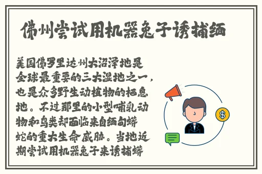 沈娜娜苏语棠特工姐妹